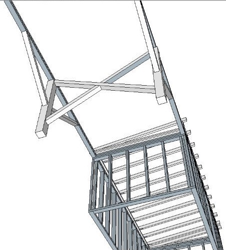 Skeleton bottom view