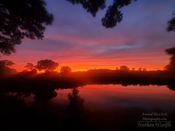 Pond sunset