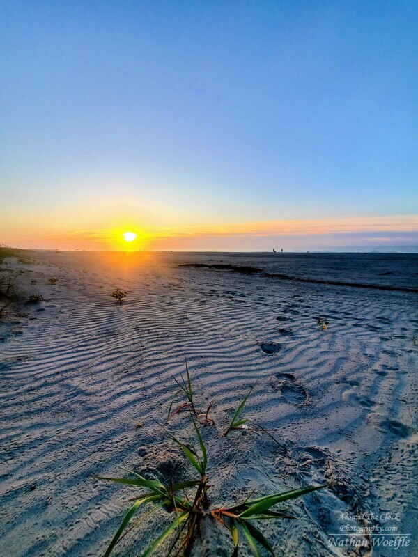 Beach grass sunrise