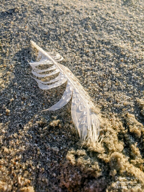 Feather water droplets
