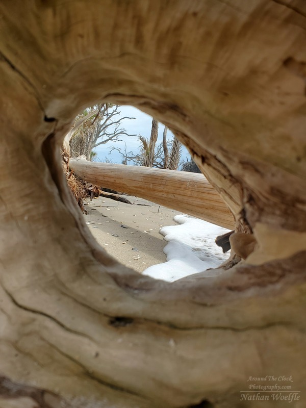 Through the wood surf