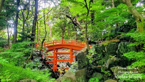 Tsutenkyo Bridge, Koishikawa Korakuen Garden, Tokyo Japan