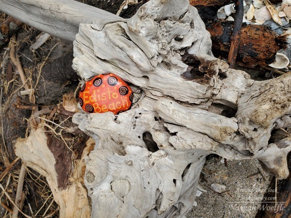 Edisto Beach rock