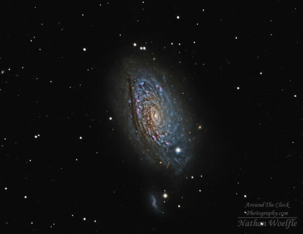 Sunflower Galaxy