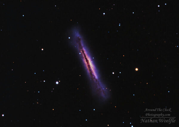 Hamburger Galaxy